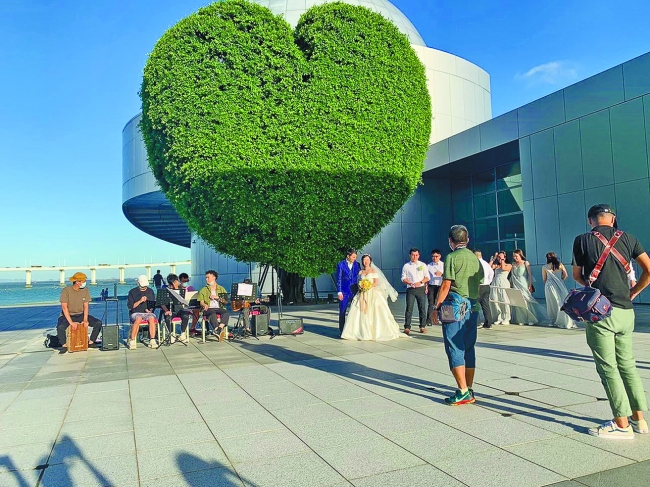 澳門科學館心形樹成打卡熱點 | 澳門日報 | 今日時事 | CyberCTM澳門No.1人氣社區