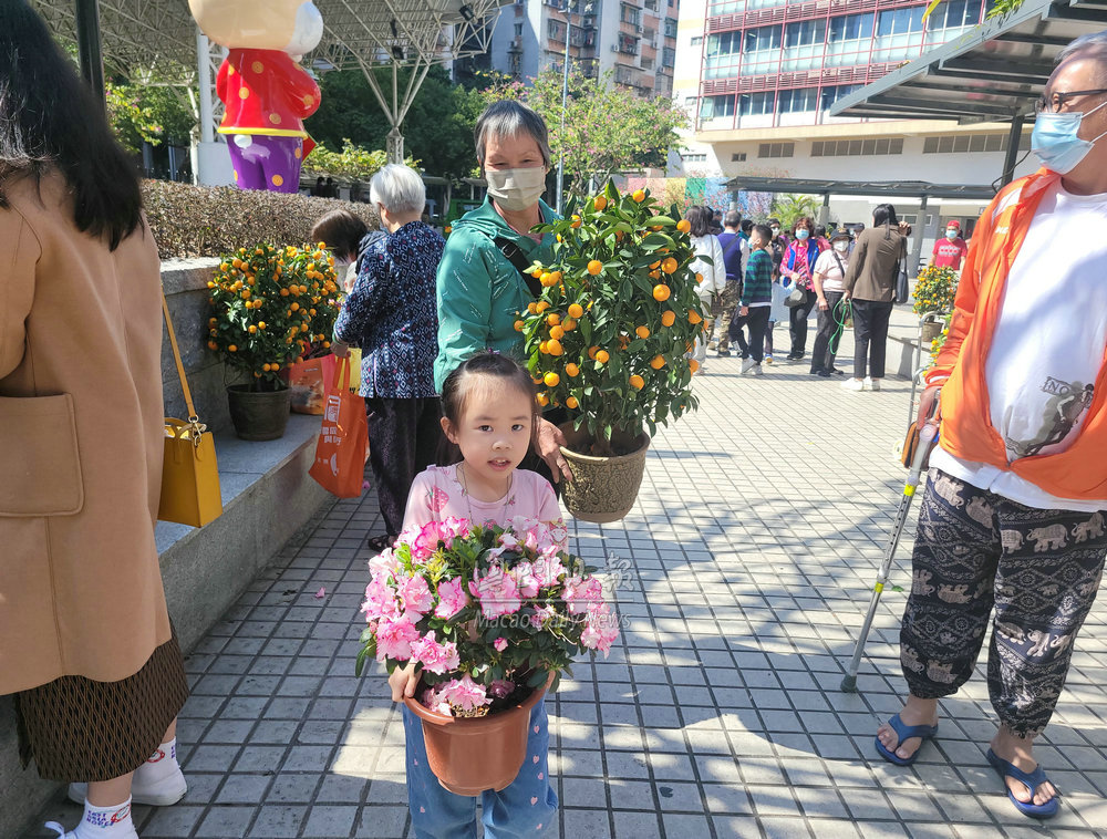 市署周日祐漢派節後花卉