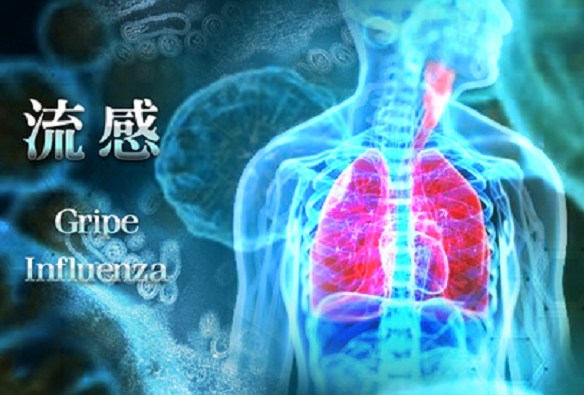 兩校十一學生染流感